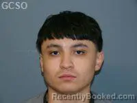 Mugshot of ADOLFO ACEVES