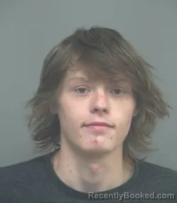 Mugshot of XANDER THOMAS BLACK