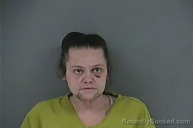 Mugshot of LEIGH ANN MCCULLEY PERKINS