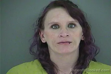 Mugshot of TAMARA JO BEAN