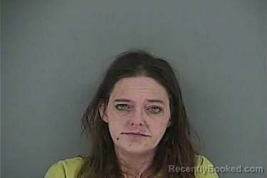 Mugshot of DAWN RENEE DISON