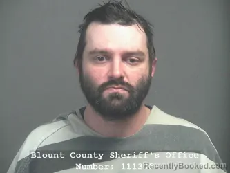 Mugshot of CHASTON MCCAIN BALCH