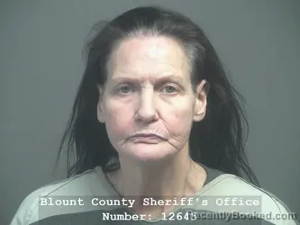 Mugshot of KAREN JO ETHERTON