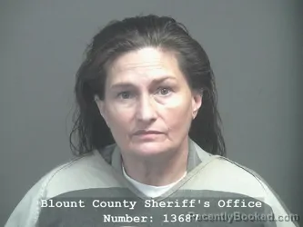 Mugshot of WENDY MICHELLE WELLONS