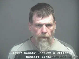 Mugshot of JESSIE LYNN AMBURN