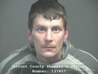 Booking photo from Blount County, Tennessee