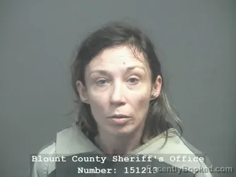 Mugshot of TOSHA DENISE MARTIN