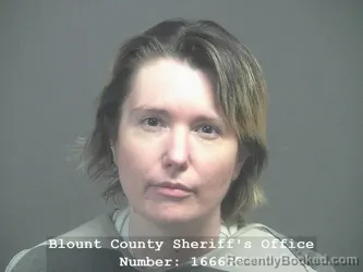 Mugshot of ASHLEY MARIE MCDONALD
