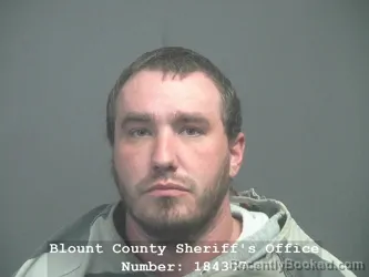 Mugshot of CODY HOWARD BROWN