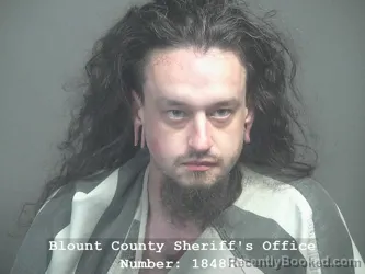 Mugshot of ZACHARY AARON LEMINGS