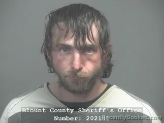Mugshot of STEVEN WHITNEY HASTINGS