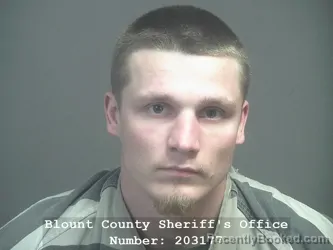 Mugshot of DALTON MICHAEL BOWMAN