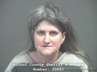 Mugshot of CONNIE LAVERNE SHIELDS