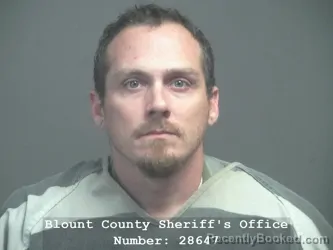 Booking photo from Blount County, Tennessee