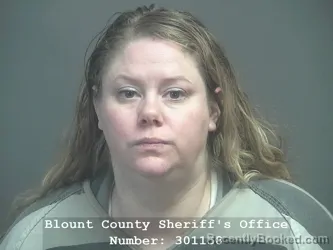 Booking photo from Blount County, Tennessee