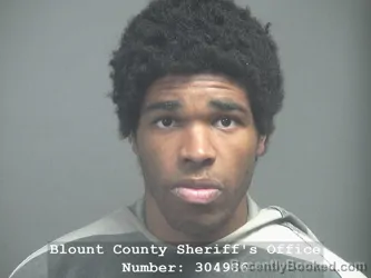 Mugshot of JEROME ANTONE WHITE