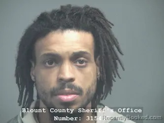 Mugshot of BRANDON RAMON WEBB