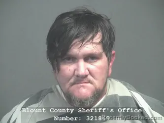 Booking photo from Blount County, Tennessee