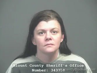 Mugshot of ASHLEY SHAMEIKA SEIBER