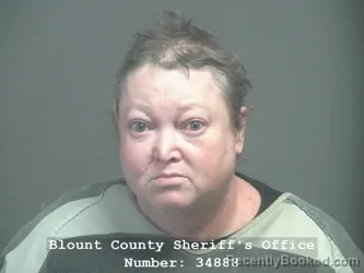 Mugshot of AMY RENEE EVERETT