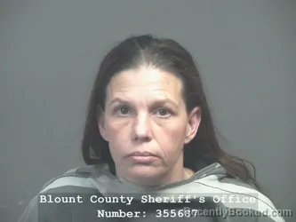Mugshot of MISTI LYNN HEARON