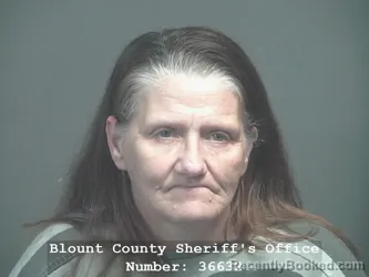 Mugshot of SHEILA MARIE SELLERS