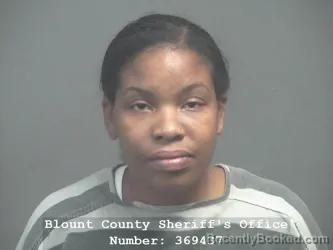 Booking photo from Blount County, Tennessee