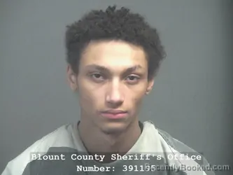 Mugshot of DEONTE LEON WARD