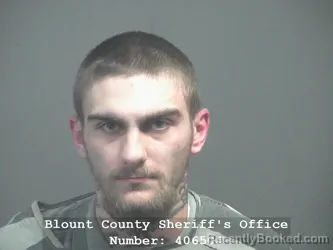 Mugshot of LELAND BLAZE BUTLER