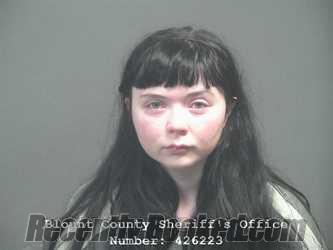 Booking photo from Blount County, Tennessee
