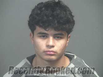 Booking photo from Blount County, Tennessee