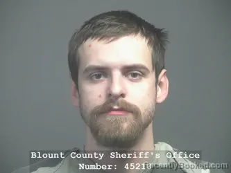 Mugshot of MICHAEL TYLER GARLAND