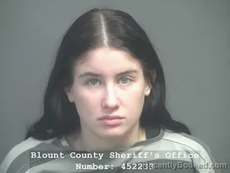 Mugshot of ADDISON NICOLE FAIRCHILD