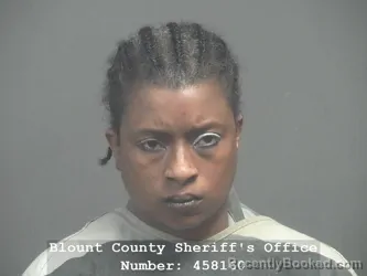 Booking photo from Blount County, Tennessee