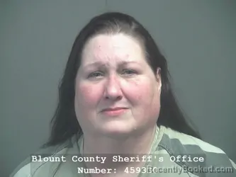 Mugshot of JULIE ANN WRIGHT