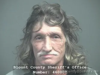 Booking photo from Blount County, Tennessee