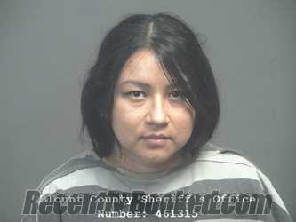 Booking photo from Blount County, Tennessee