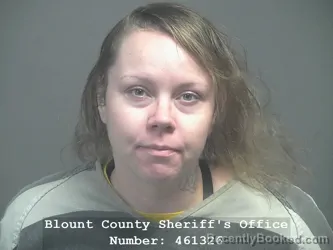 Booking photo from Blount County, Tennessee