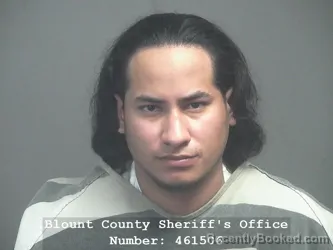 Mugshot of PALACIOS ESCOBAR