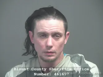 Mugshot of MICHAEL RYAN MCDONALD