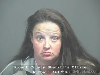 Mugshot of BRITTNEY MICHELLE DAY