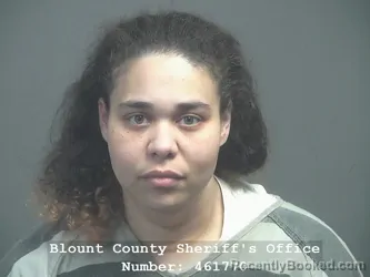 Booking photo from Blount County, Tennessee