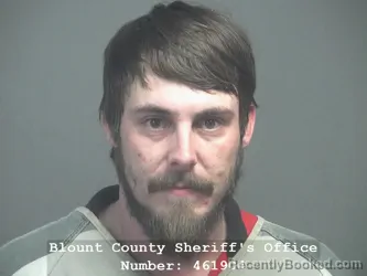 Booking photo from Blount County, Tennessee