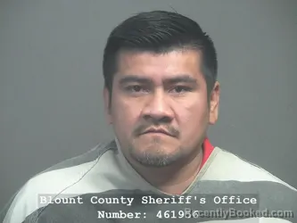 Booking photo from Blount County, Tennessee