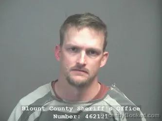 Mugshot of TYLER SHANE WELLS
