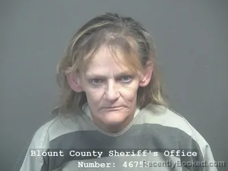 Mugshot of SHANNON ELAINE JUDKINS