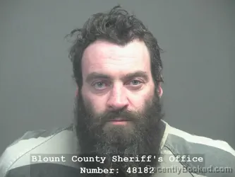 Mugshot of LEE RICHARD WALL