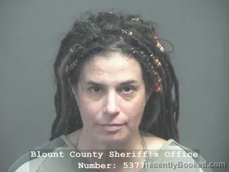 Mugshot of ALLYSON FLIEGNER BISHOP