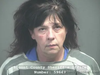 Booking photo from Blount County, Tennessee