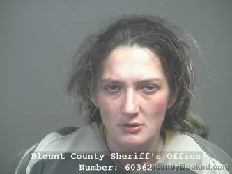 Mugshot of BRITTANY ANN SARGENT